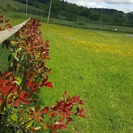 Feriehus Podere Greve *