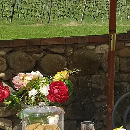 Дом отдыха Podere Greve Chianti